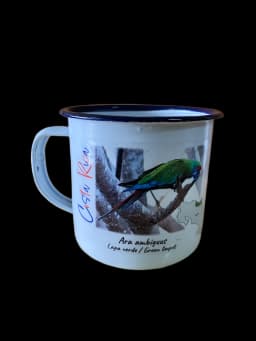 Jarra Lapa Verde